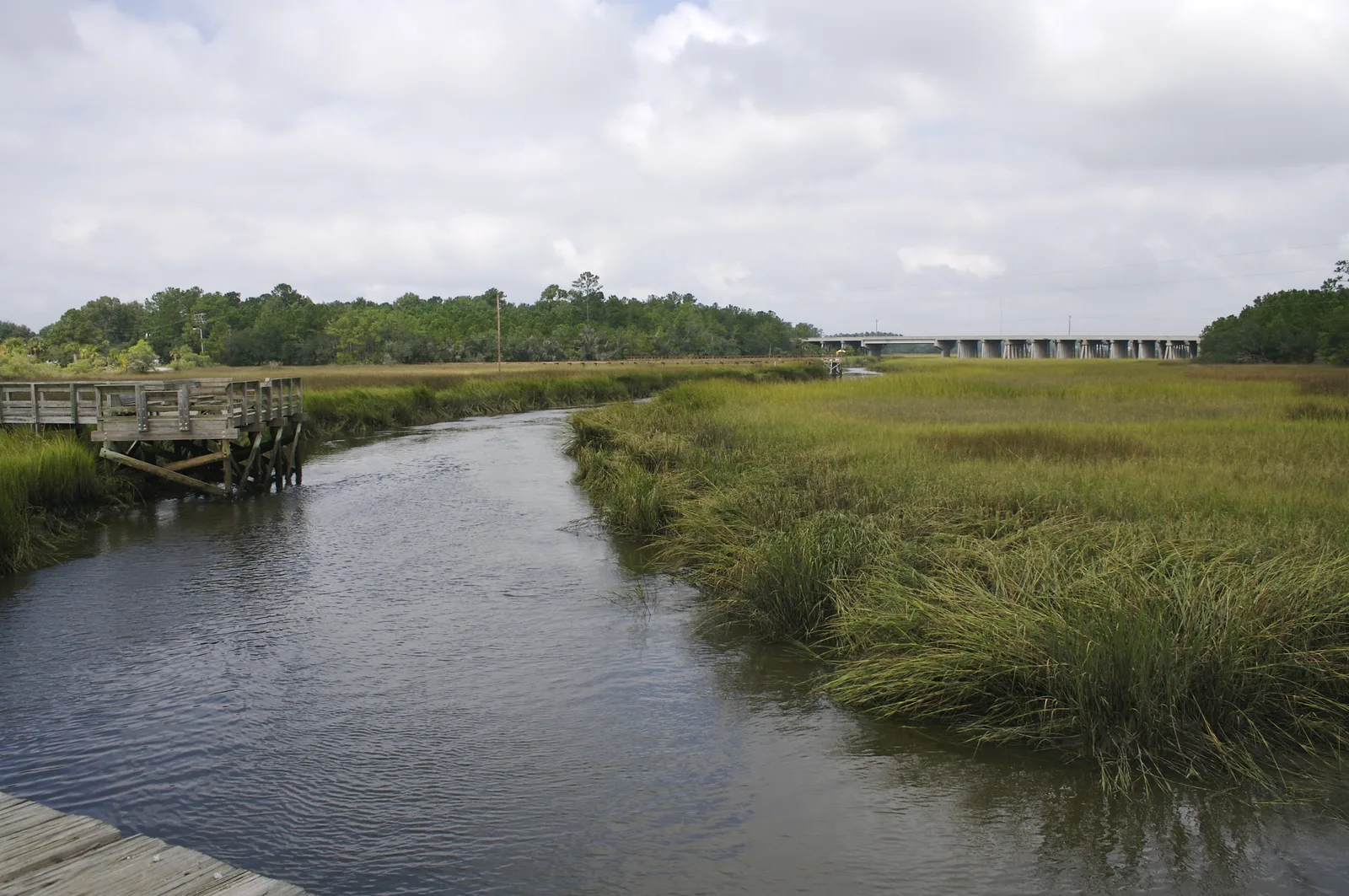 Tidal marsh on Daniel Island. The picture does not show the donated land.