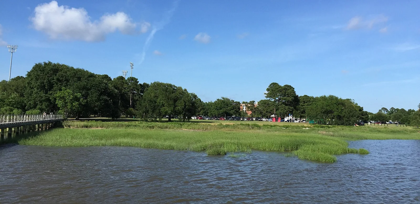 The marsh and lawn of Brittlebank Park on the Ashley River, which has one of the city's off-leash dog areas.