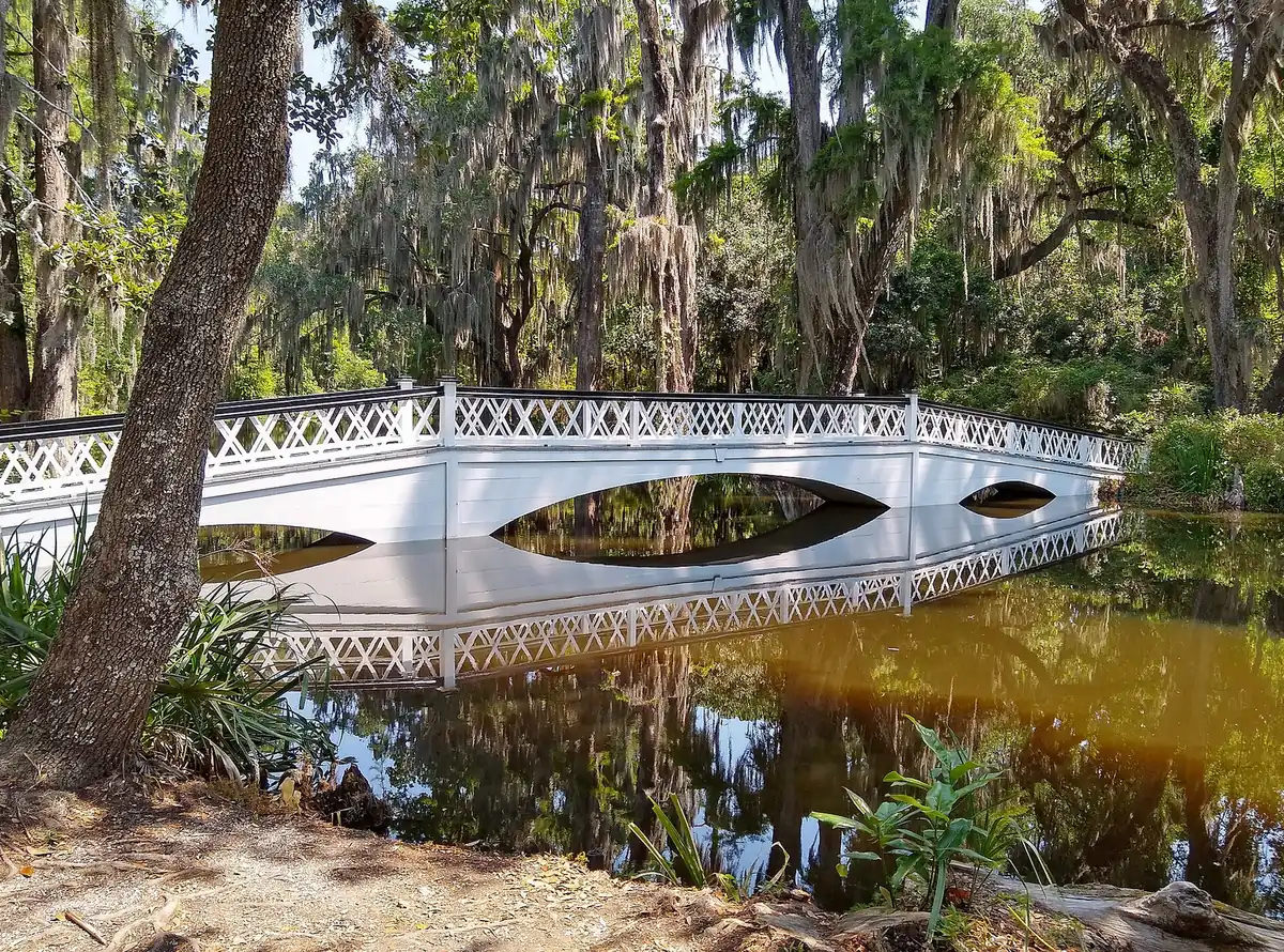 The white Long Bridge over a pond in the gardens at Magnolia Plantation and Gardens on Ashley River Road.