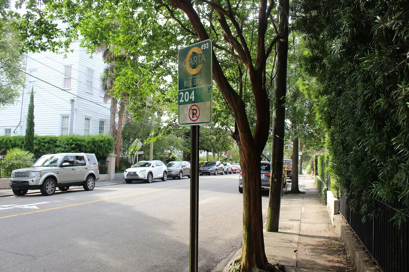 A CARTA bus stop sign on a tree-lined stretch of Rutledge Avenue on the Charleston peninsula.