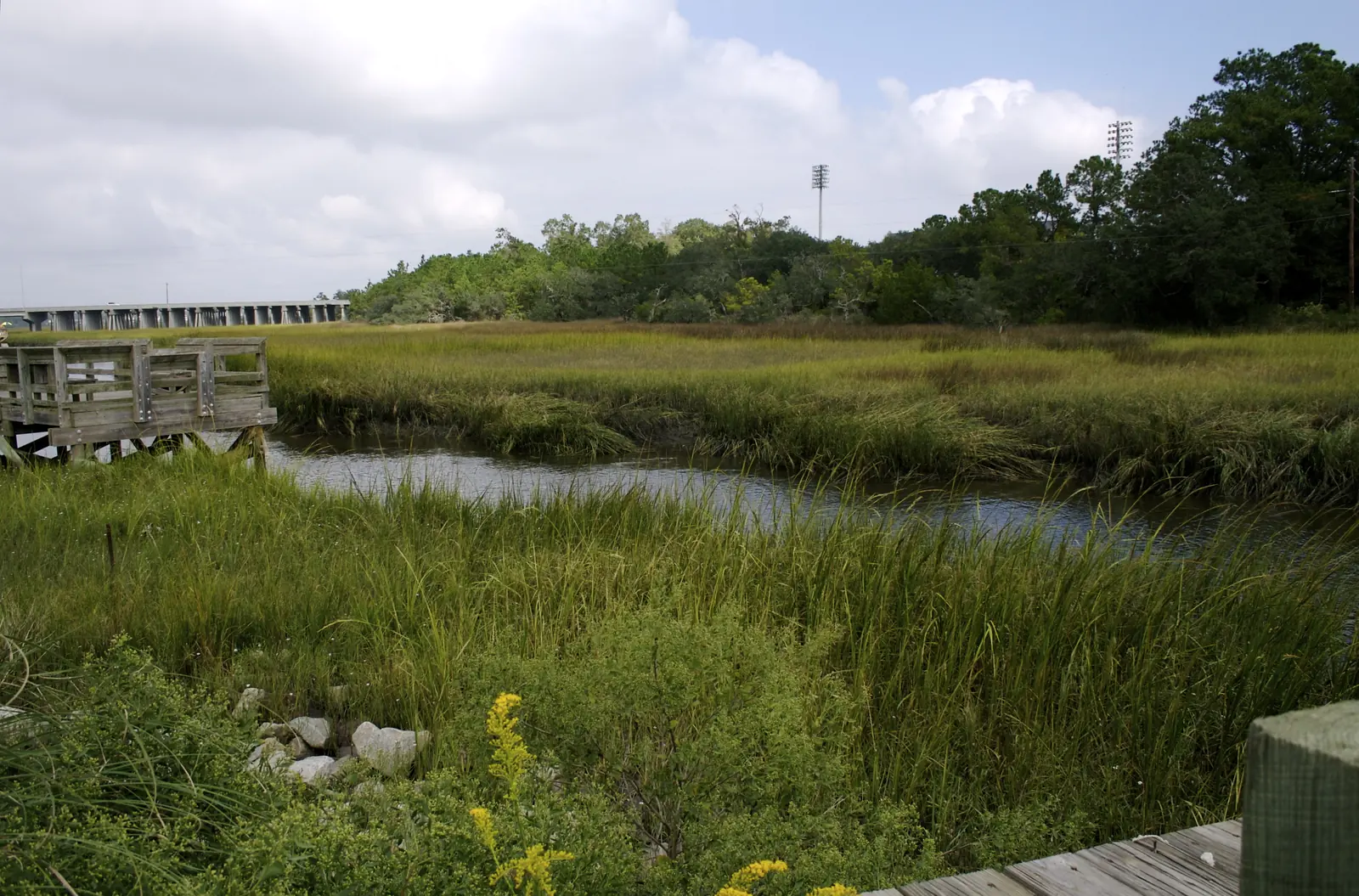 Salt marsh on Daniel Island, with the I-526 bridge on the left and stadium lights beyond the trees.