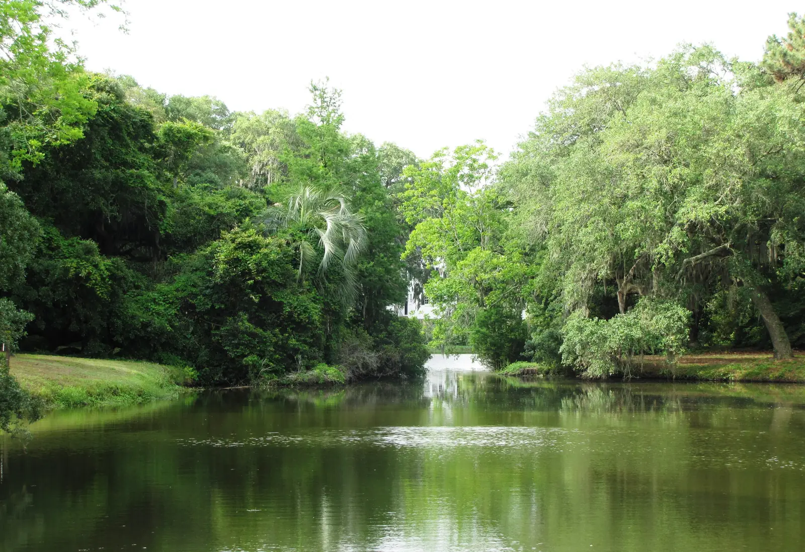 Marsh and live oaks near the visitor center at Charles Towne Landing State Historic Site, Old Towne Road, in West Ashley.